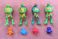 TMNT